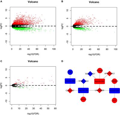 Prognostic lncRNA, miRNA, and mRNA Signatures in Papillary Thyroid Carcinoma